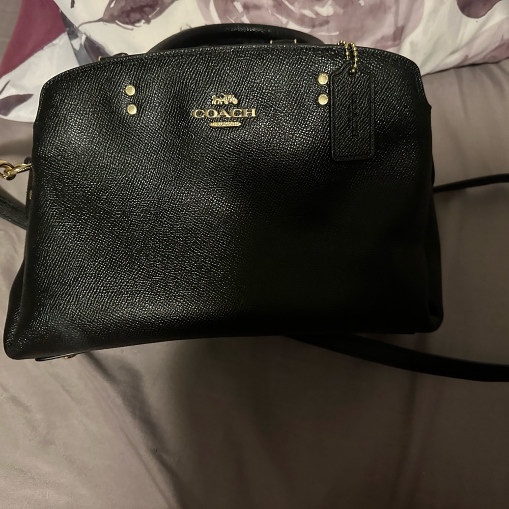 Mini Lillie Coach Bag